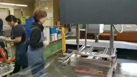 Automatic Label/Tags/Hangtags/Cosmetic/Medicine Box/Paper Cup Die Cutting Creasing Machine 