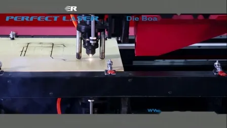 Laser Label Die Cutting Machine Made in China 